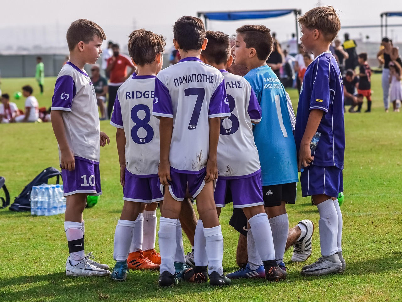 卧龙娱乐，注册|易付app详情下载教程