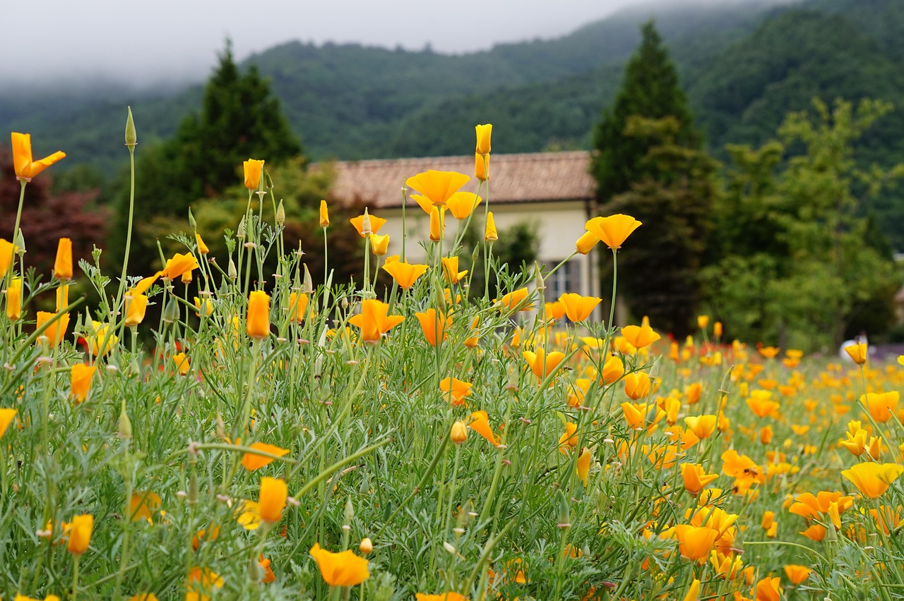 DDOS压力测试|如何保护您的公司内部免受黑客攻击