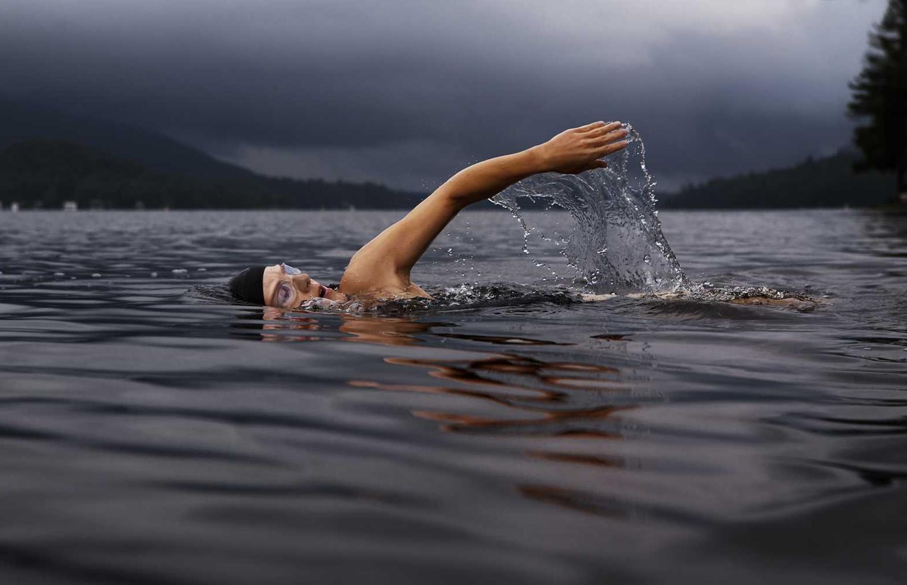 超级舰队：内江宠物购买平台