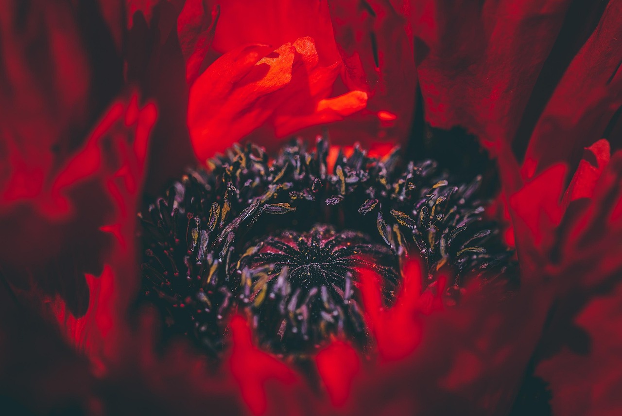 中免555水蜜桃双爆珠：怎么样查注册过的游戏账号