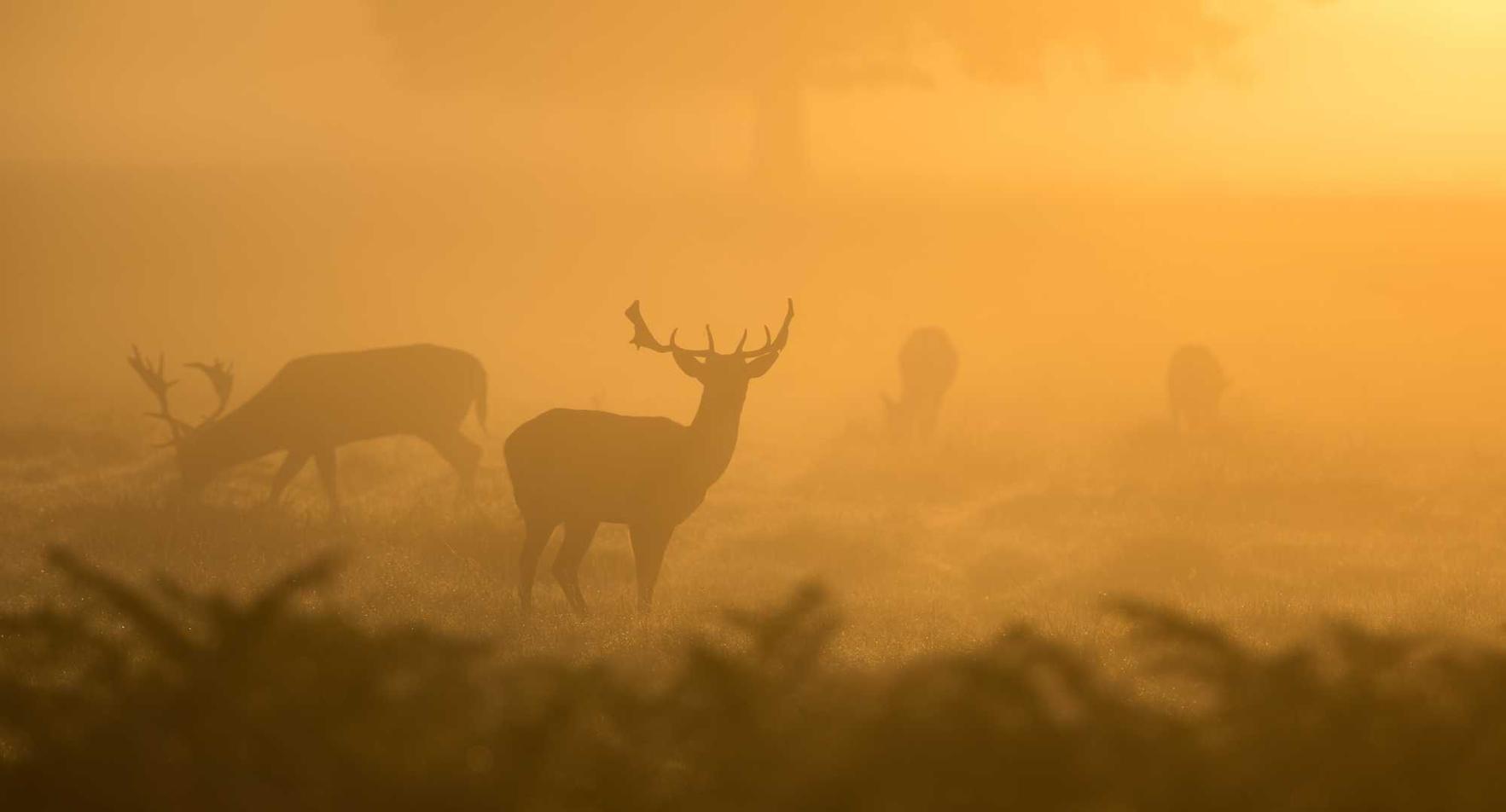 各种国外VX号:小组管理:如何以短信为用户提供个性化服务?