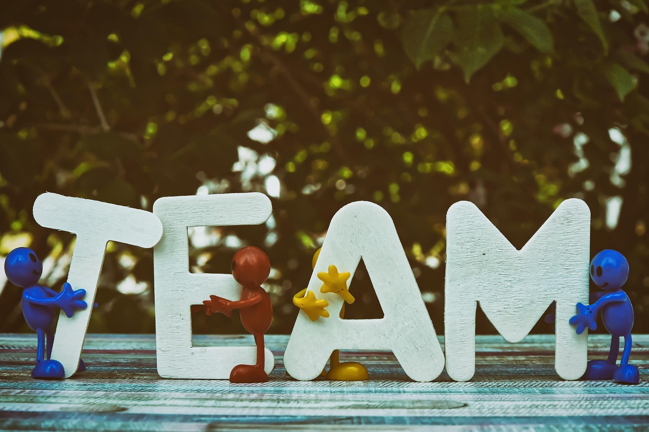 Peel百乐蓝莓爆珠：上海鸡蛋购买平台