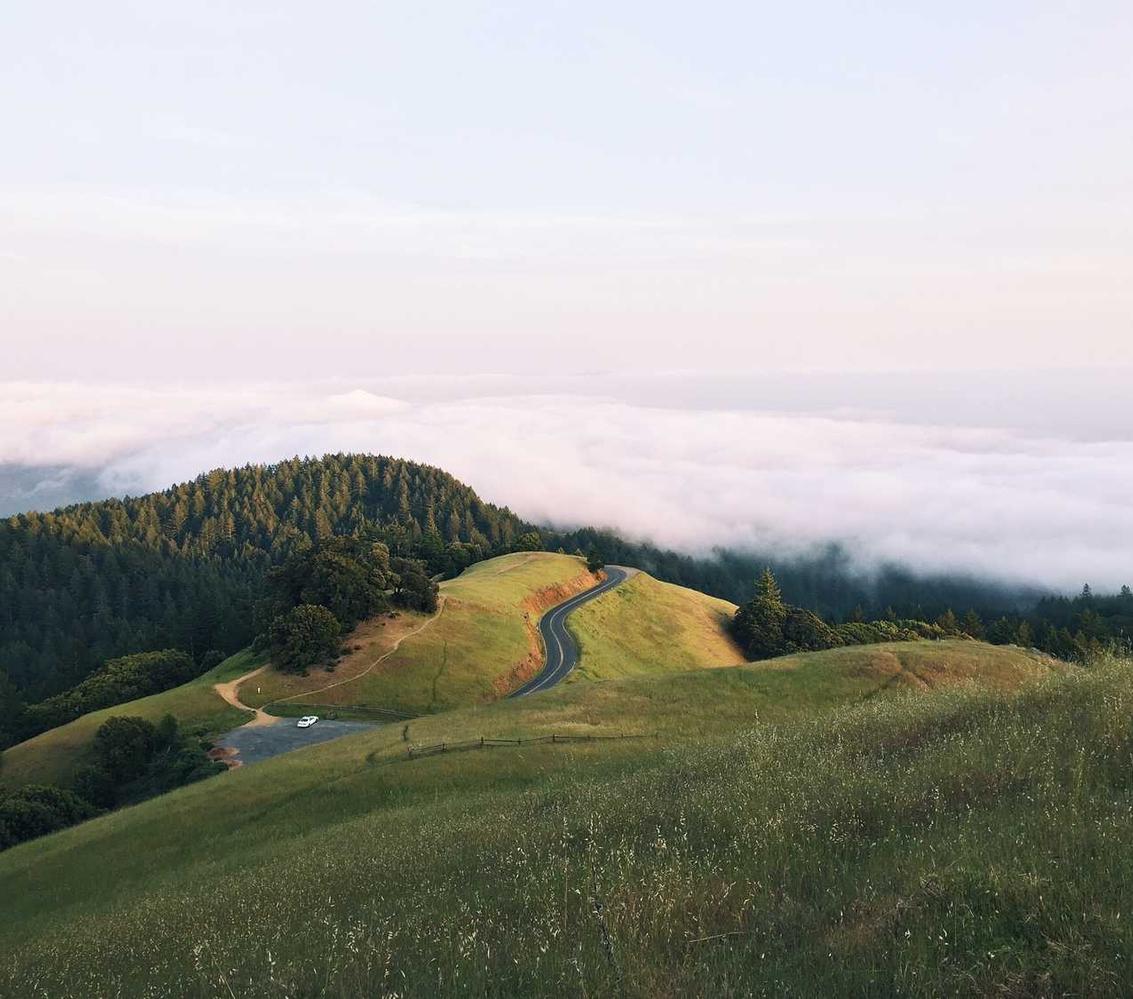 物语云实名账号：甜直播app详情下载教程地址