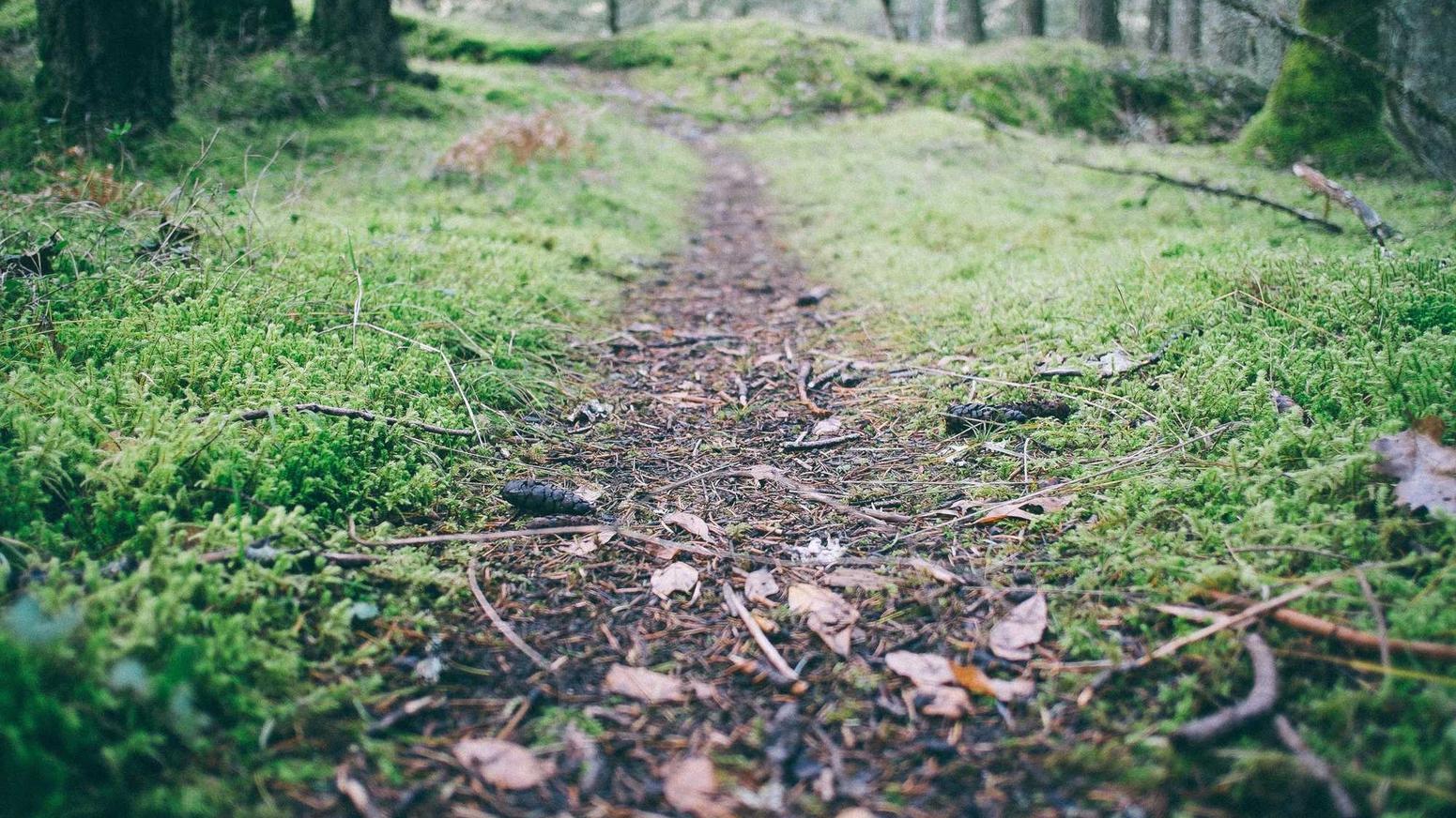 电销手机卡- 闵行区工商注册代理记账